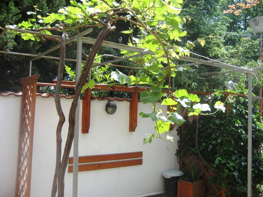 Guest House Yanina Varna Dış mekan fotoğraf