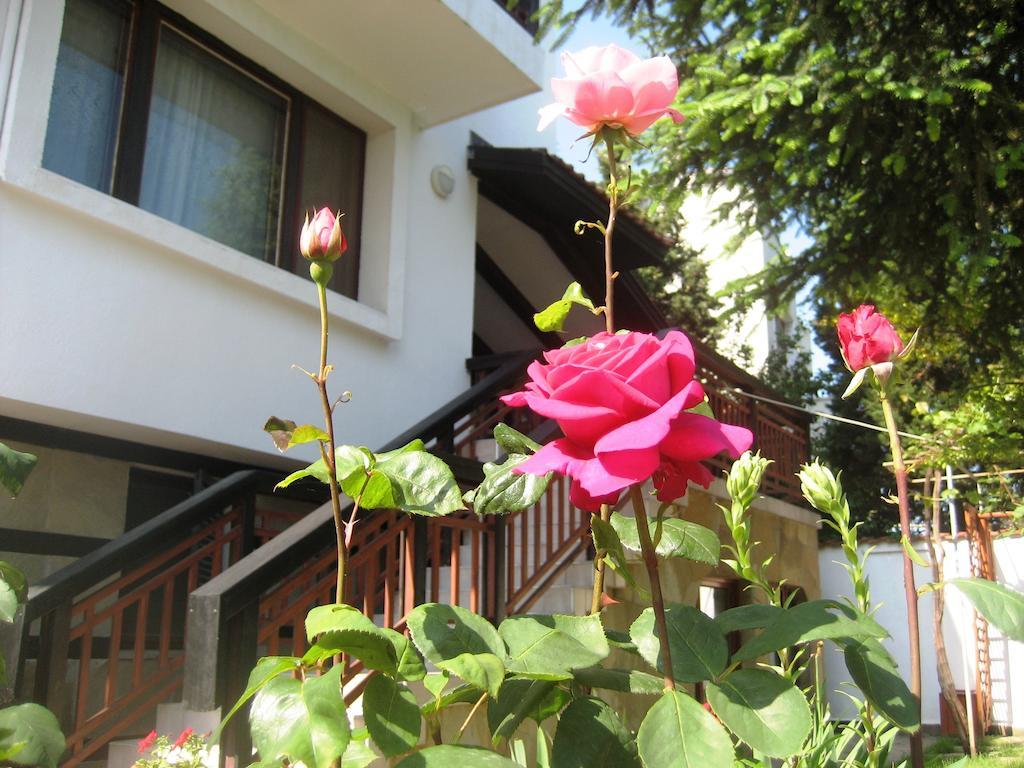 Guest House Yanina Varna Dış mekan fotoğraf